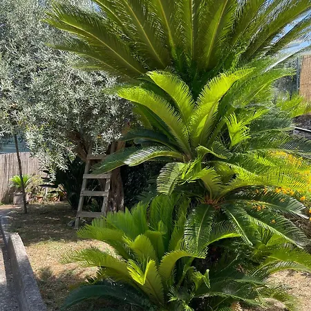 Rosmary Appartamento *