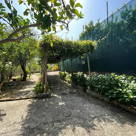 Rosmary 公寓 马萨鲁布朗斯